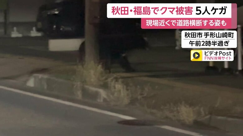深夜の道路を住宅街に向かって横断するクマ⑨