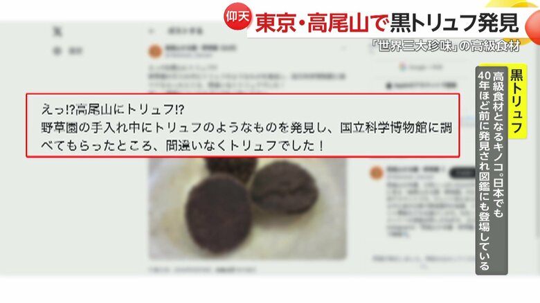 高尾山さる園・野草園のSNSへの投稿