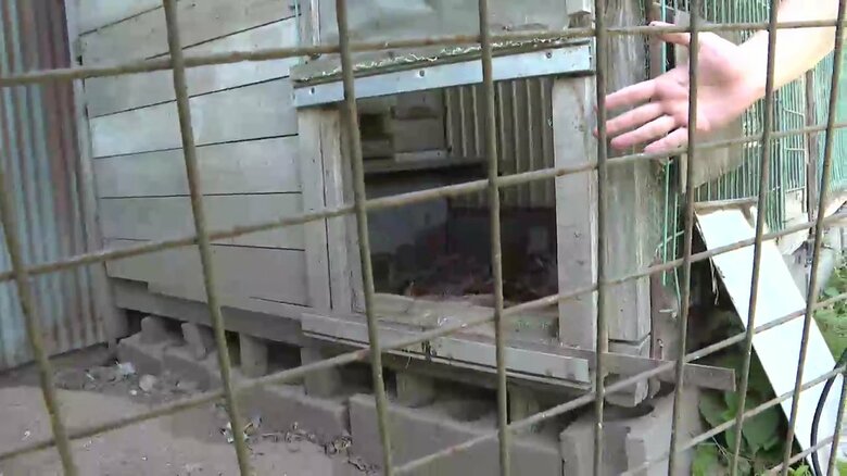 クマが侵入した小さな穴