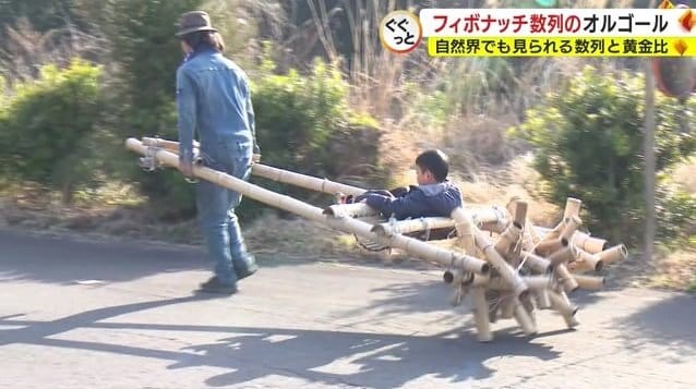 フィボナッチ数列と黄金角を使った竹の車輪