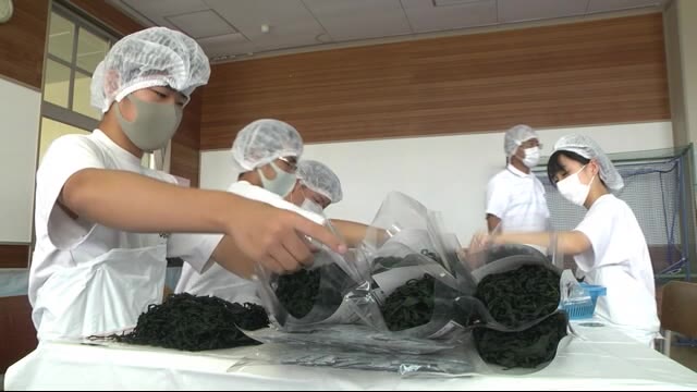 ワカメのパック詰め体験 大船渡市の中学生<岩手県>