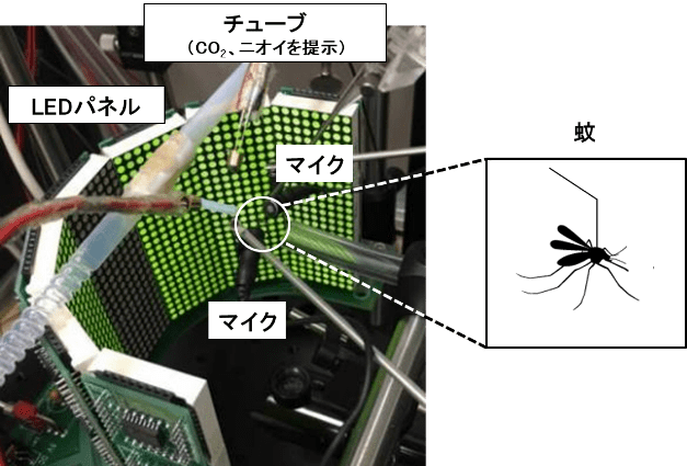 蚊に特化した独自の仮想空間を構築