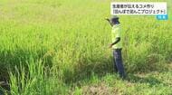コメ価格、過去最高水準に迫る「このままではコメ農家がなくなる」「コメ作りの大変さ知って」生産者が体験会を開催