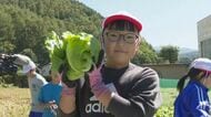 「甘い」「不思議な味」小学生が“宇宙レタス”を収穫　宇宙飛行士・油井亀美也さんと旅した種から栽培　出来は上々、とれたてを味わう　長野・川上村