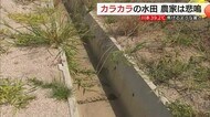 「焦げそうです」島根県川本で40℃に迫る猛暑！用水路はカラカラ…米農家が頭抱える少雨高温続く（島根）