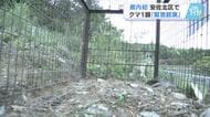 箱わなで捕獲されたクマ緊急銃猟で駆除　広島県内では初めて　「動物と人間の共存の難しさを感じた」
