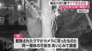 住宅街近くの河川敷でクマ１頭を緊急銃猟で駆除　カメラに映っていたものと同一個体の可能性〈仙台〉