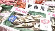 初漁迎えた季節ハタハタ店頭に並ぶ　鮮魚店では過去最高の2キロ4万5000円で販売　秋田市