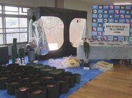 480万円相当の大麻800g押収…既に逮捕されている兄と共に乾燥大麻を販売目的で所持か 弟を逮捕