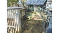 上野動物園がまたまた超難問を出題…カピバラはどこにいるでしょう?