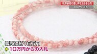 【高知】16万円のサンゴが10万円から入札『差し押さえ』物品の公売会、レコードやフィギュアも