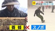 「好きなことを1年間」　冬は雪山、夏はハチミツ生産　“スノボ×養蜂” 二刀流で奮闘中【長野発】