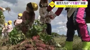 「とれたよー!」園児たちが“イモ掘り”体験〈宮城・利府町〉
