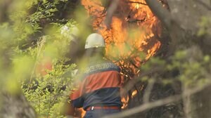 住宅2棟全焼 1人死亡 群馬・みどり市の山火事 延焼続く