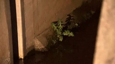 【速報】1歳男の子が用水路に転落　流され意識不明の重体　東武アーバンパークライン豊四…