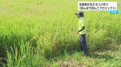コメ価格、過去最高水準に迫る「このままではコメ農家がなくなる」「コメ作りの大変さ知って」生産者が体験会を開催