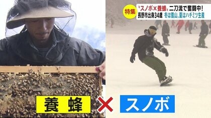 「好きなことを1年間」　冬は雪山、夏はハチミツ生産　“スノボ×養蜂” 二刀流で奮闘中【長野発】