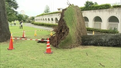 “逆走”台風15号、各地で被害　夜にかけてもゲリラ雷雨のおそれ