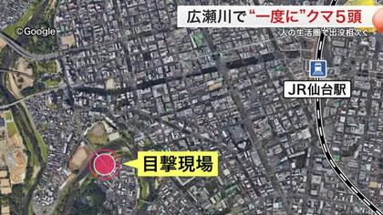 仙台駅から約３キロの住宅街でクマ５頭が目撃される　親子か　宮城県はクマ出没警報を発令中