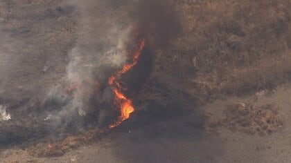多摩川の河川敷で火事　枯れ草約4万6000平方メートルが焼ける　けが人なし