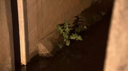 【速報】1歳男の子が用水路に転落　流され意識不明の重体　東武アーバンパークライン豊四季駅から400mの住宅街近く　千葉・流山