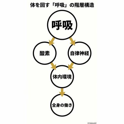 生命を動かす「エンジン」は呼吸。──睡眠中の体内環境に関する調査プロジェクトを開始