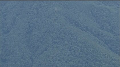 知床・羅臼岳で駆除されたクマは死亡した男性襲った個体と断定 DNA鑑定で男性の衣類に付着したクマの体毛が母熊と一致