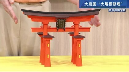 厳島神社「大鳥居」70年ぶり大規模修理の現場潜入…屋根の葺き替え