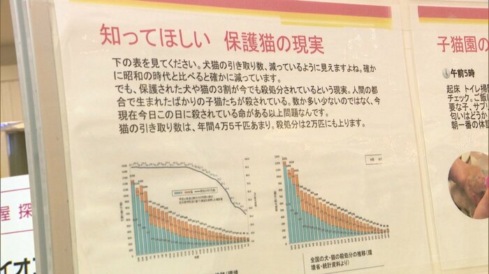 2022年の写真展