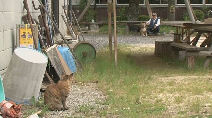 高峰(手前)とハッチ(奥)の距離は縮まらず…
