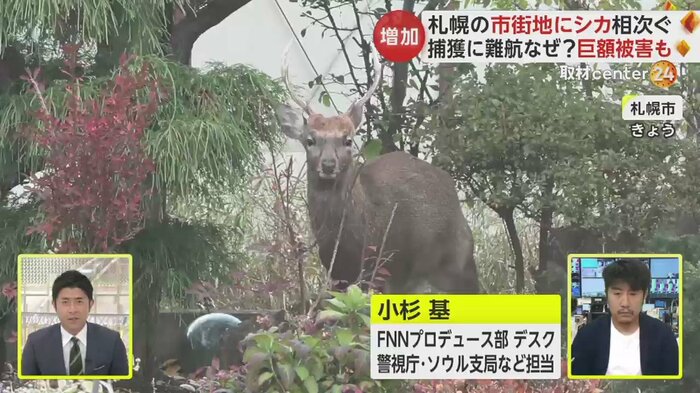 札幌市 25日