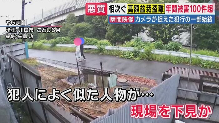 事前に“下見”か(関西テレビ「旬感LIVE とれたてっ!」より)