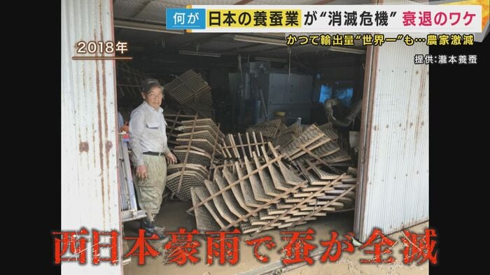 2018年の西日本豪雨で蚕が全滅