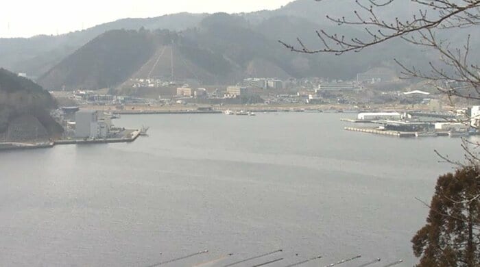 現在の女川湾