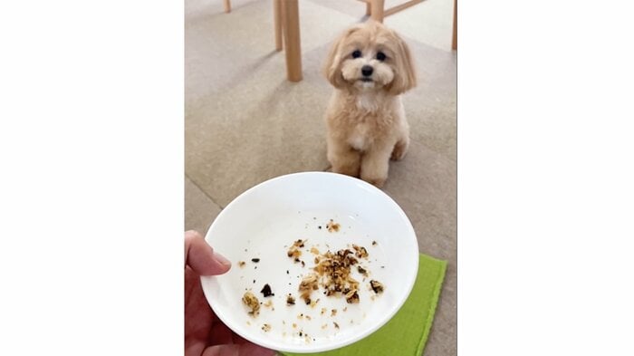 小型犬の場合はふりかけにした「うなぎサクサクちゃん」で