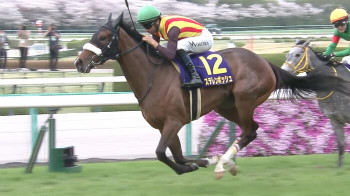 2024年の桜花賞を制したステレンボッシュ