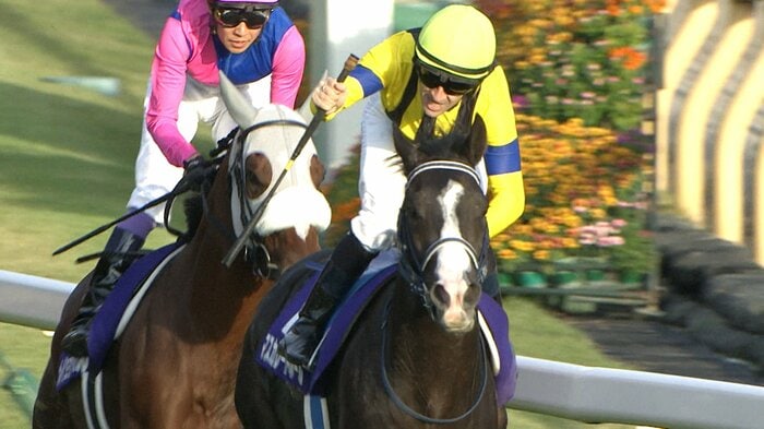 11月 天皇賞（秋）を制したマスカレードボール