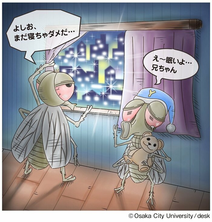 (画像提供:摂南大学理工学部生命科学科 向井歩特任助教)