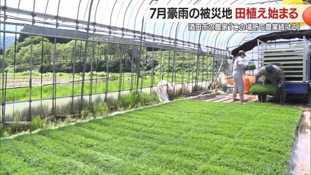 ハウスで育てた「つや姫」の苗を車に積み、田植えをする田んぼへ運ぶ