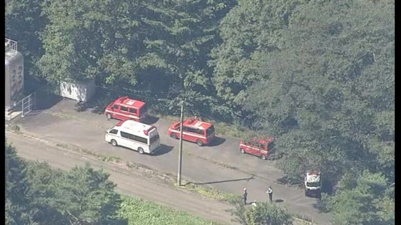 【速報】仙台市の山林で４２歳女性が行方不明に　スマホの位置情報を手がかりに捜索が続く｜FNNプライムオンライン