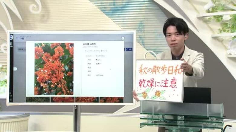 【エンドトーク】「秋の散歩日和・乾燥に注意」7日のポイント＆きょうの1枚　山形｜FNNプライムオンライン