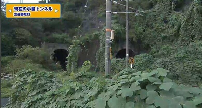 呉線に歴史あり　開戦前1941年3月 複線化工事開始も戦況悪化でとん挫　そのこん跡を探る【てつたま】｜FNNプライムオンライン