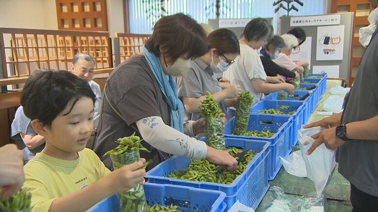 高温少雨で5割近く“規格外”に…食品ロス減へ“枝豆”詰め放題！「作る人も食べる人もハッピーな世界に」新潟｜FNNプライムオンライン