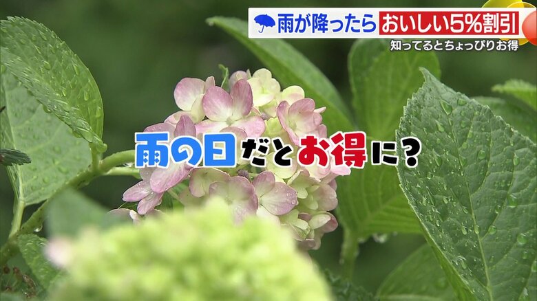 梅雨を少しお得に楽しむ！“雨の日限定”で洗車やサンドイッチが割引に　お出かけでジメジメを吹き飛ばそう【愛媛発】｜FNNプライムオンライン