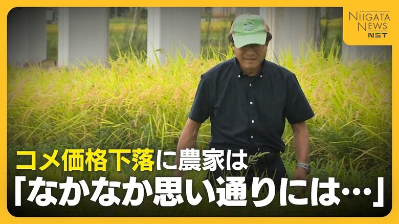 【コメ農家の本音】「コメ作り続けるのは厳しい」毎年変動する取引価格に困惑…300万円かけ新たな機械導入もコメの価格下落や資材高騰で苦境に｜FNNプライムオンライン