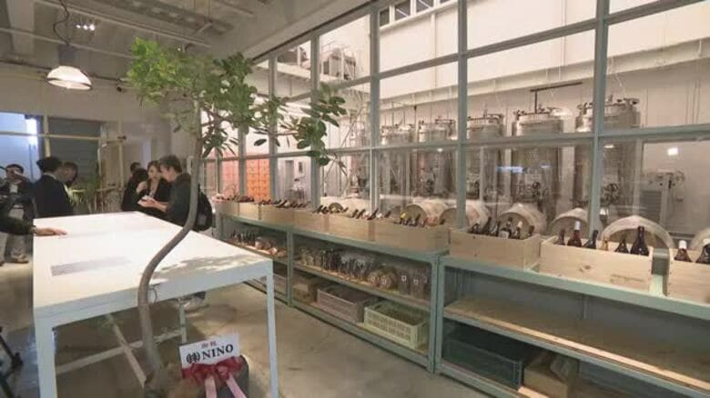 松山の大街道商店街でワイン作って提供「都市型ワイナリー」オープン　商店街の活性化に期待【愛媛】｜FNNプライムオンライン