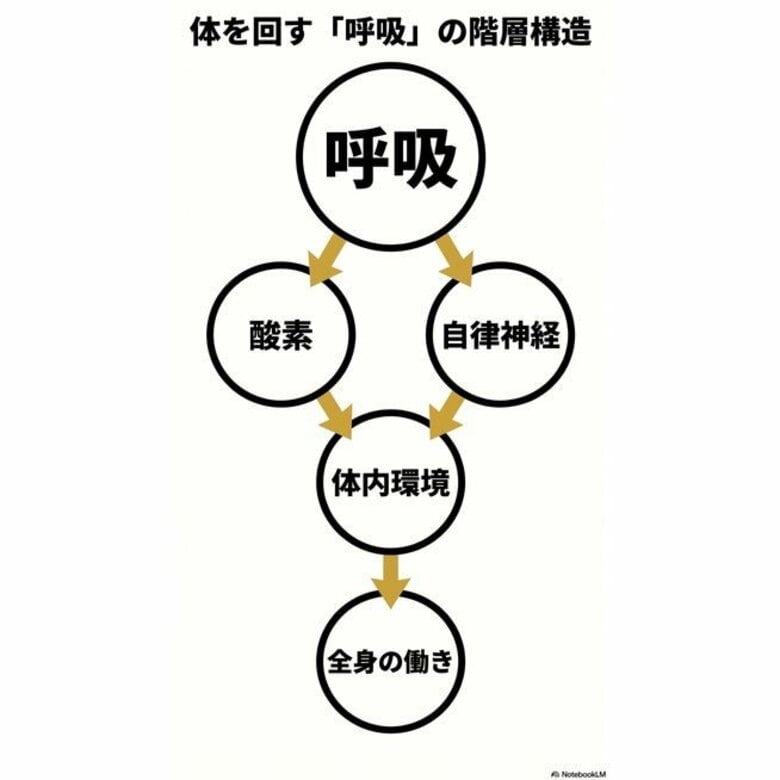 生命を動かす「エンジン」は呼吸。──睡眠中の体内環境に関する調査プロジェクトを開始