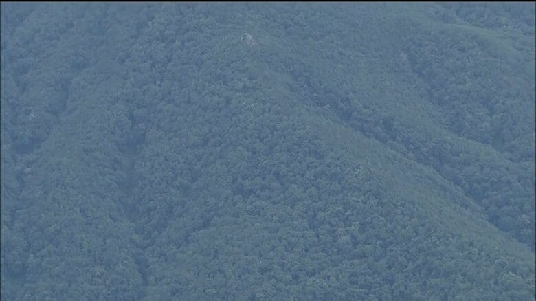 知床・羅臼岳で駆除されたクマは死亡した男性襲った個体と断定　DNA鑑定で男性の衣類に付着したクマの体毛が母熊と一致｜FNNプライムオンライン