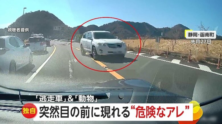 【独自】突然目の前に現れた「逆走車」と「鹿」あわや正面衝突…緊急回避で危機一髪「前見てしっかり運転を」　静岡・福岡｜FNNプライムオンライン