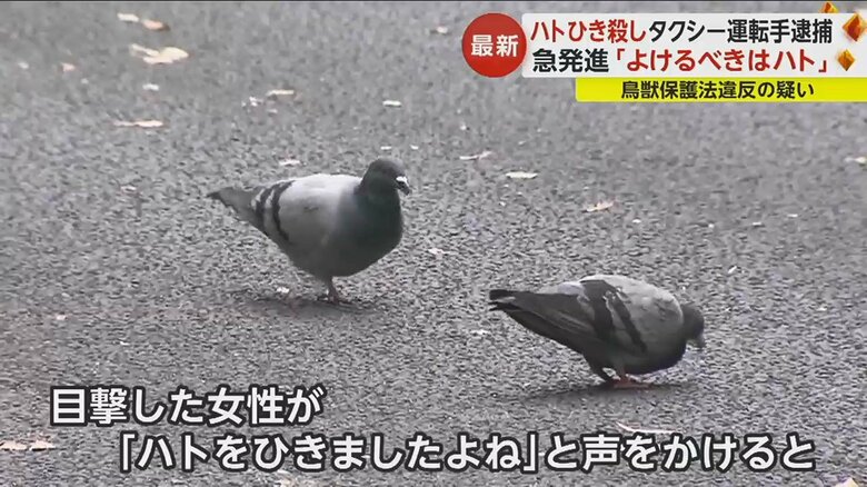 小沢容疑者は「よけるべきはハトだ」と言って、その場から走り去ったという